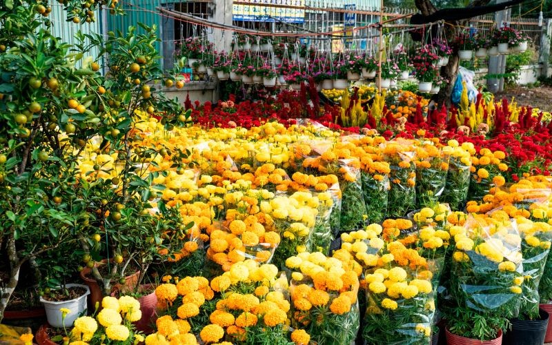 Chợ Hoa Tết - Hội Hoa Xuân Kcn Hiệp Phước 2019 | Khu Công Nghiệp Hiệp Phước