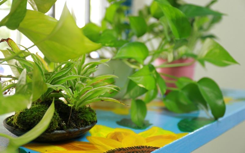 Học Bổng Tiếp Sức Đến Trường Cho Con Em Công Nhân Kcn Hiệp Phước | Khu Công Nghiệp Hiệp Phước