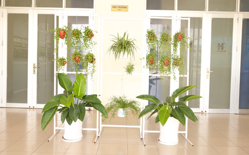 Phong Trào Thi Đua Xây Dựng Hiệp Phước Xanh Lần 1/2020 | Khu Công Nghiệp Hiệp Phước