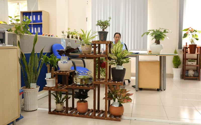 Phong Trào Thi Đua Xây Dựng Hiệp Phước Xanh Lần 1/2020 | Khu Công Nghiệp Hiệp Phước